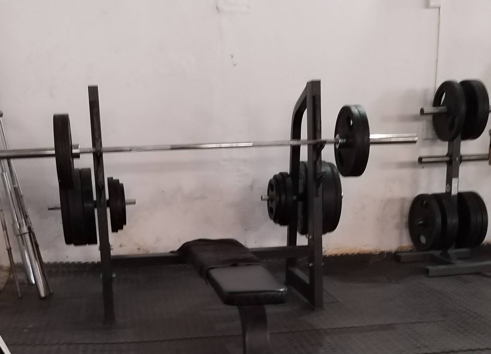 Bench Press