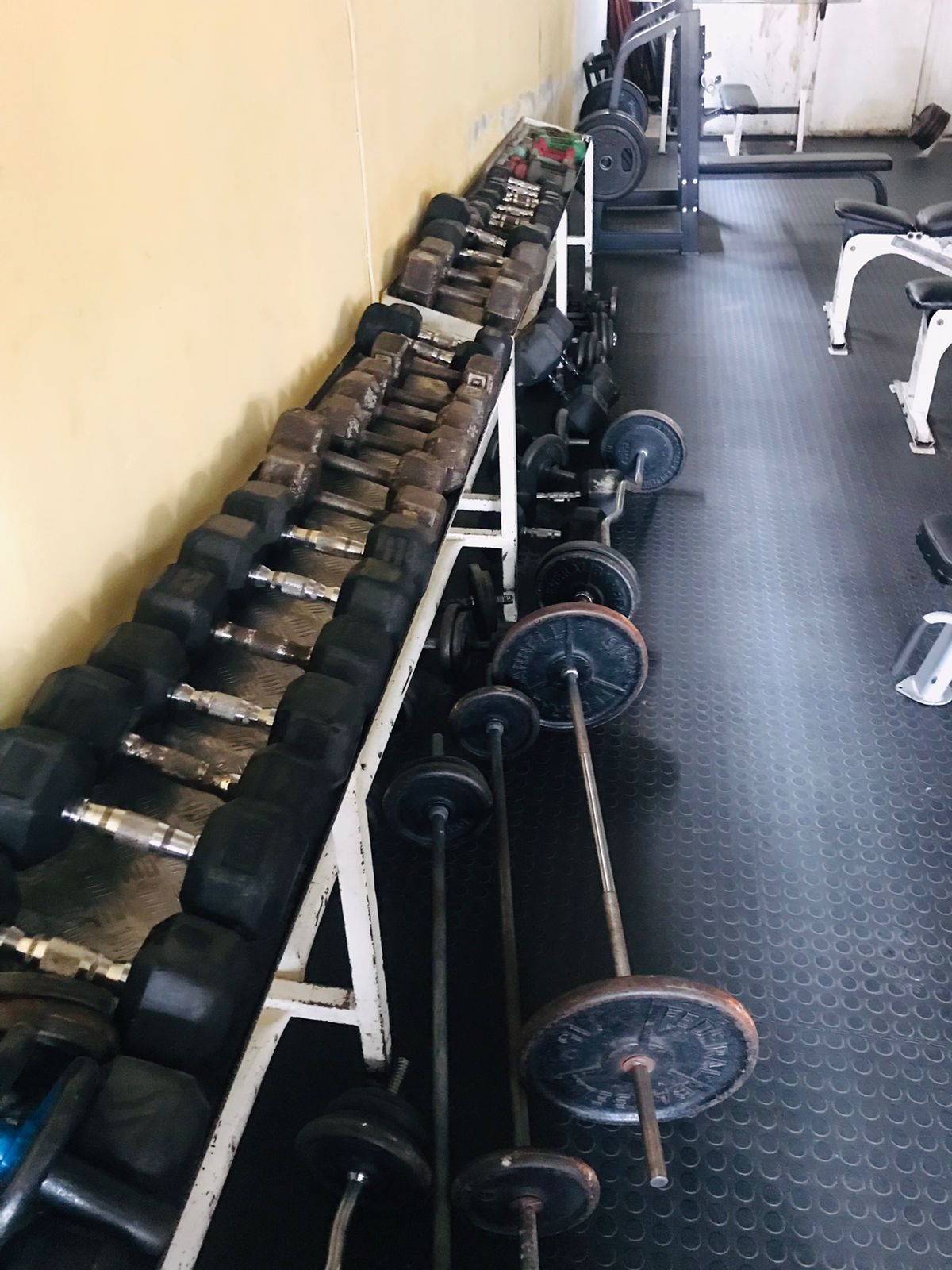 Dumbbells and Free Weights